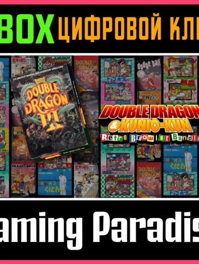 Купить Double Dragon Ⅲ The Sacred Stones Xbox One|X/S Key