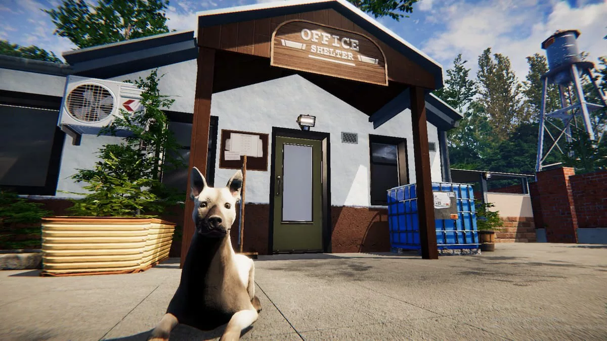 Купить Animal Shelter на Xbox