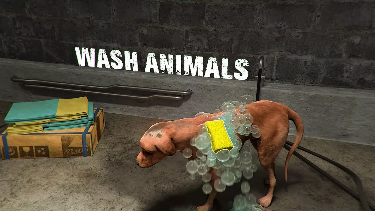 Ключ Animal Shelter для Xbox One и Series X|S