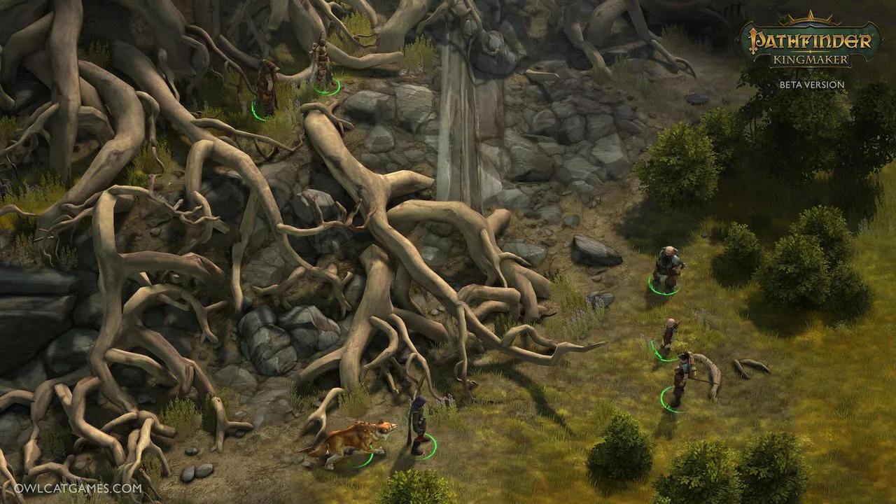 Ключ Pathfinder: Kingmaker для Xbox One и Series X|S