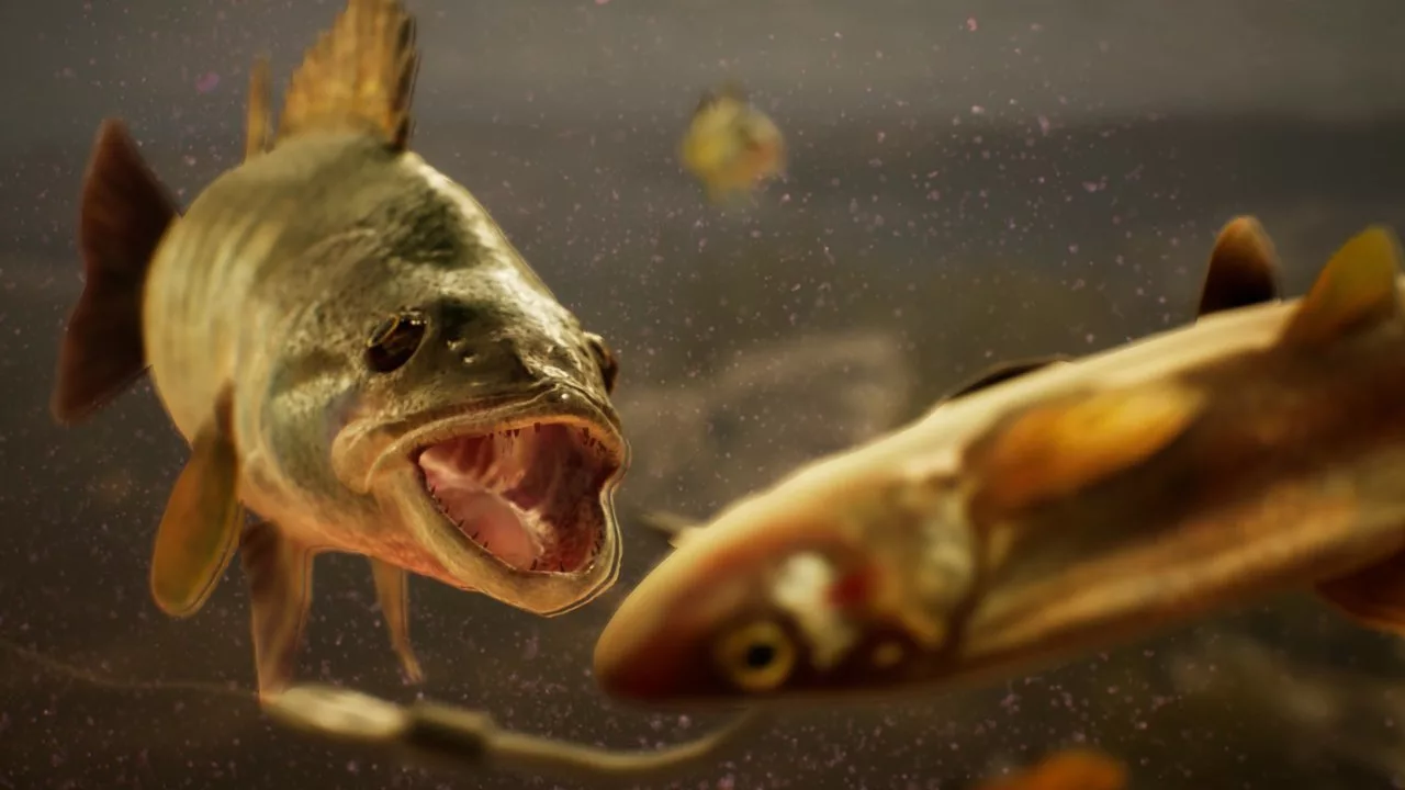 Заказать ключ The Catch: Carp & Coarse на Xbox