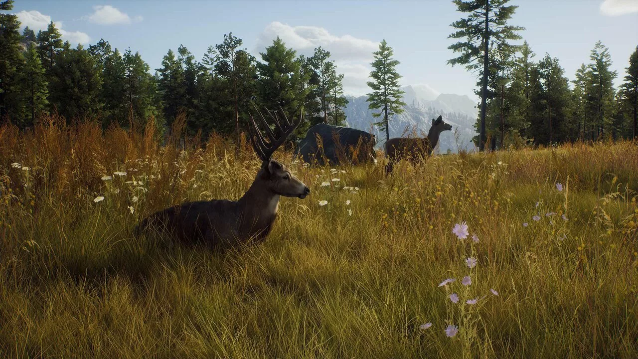 Ключ Way of the Hunter для Xbox One и Series X|S