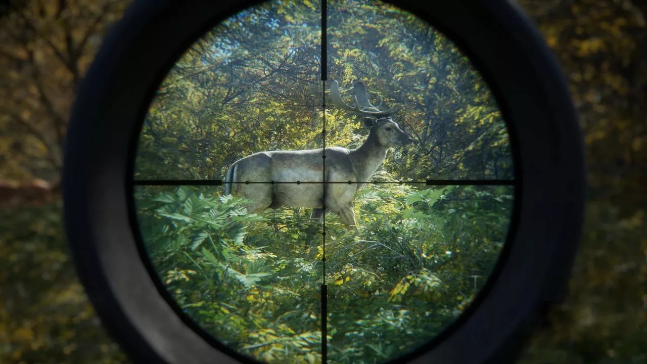 Купить ключ theHunter: Call of the Wild на Xbox выгодно